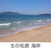 生の松原 海岸