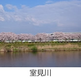 室見川